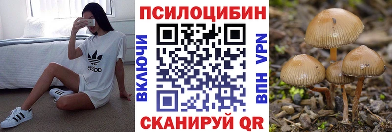 Галлюциногенные грибы MAGIC MUSHROOMS  как найти закладки  Коряжма 