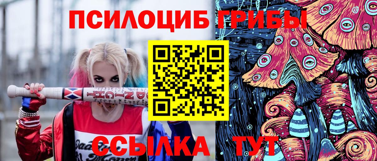 Коряжма  наркотики  Псилоцибиновые грибы мицелий  Вход с VPN  Псилоцибиновые грибы мухоморы 